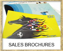 Original Car Sales Brochures